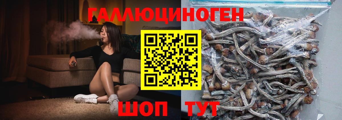 Омск  Галлюциногенные грибы мицелий  Вход с VPN  Псилоцибиновые грибы мухоморы 